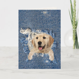 golden retriever in blue denim frayed hole card