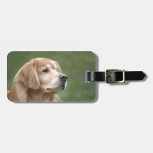 Golden Retriever in Closeup Luggage Tag