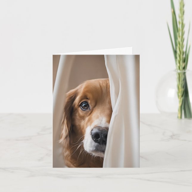 Golden Retriever In Curtain Note Card (Front)