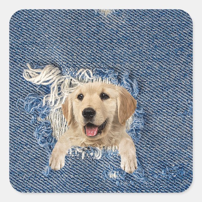 golden retriever in frayed denim fabric hole square sticker (Front)