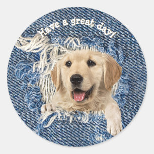 golden retriever in frayed denim hole classic round sticker