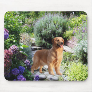 Golden Retriever In Garden Mousepad