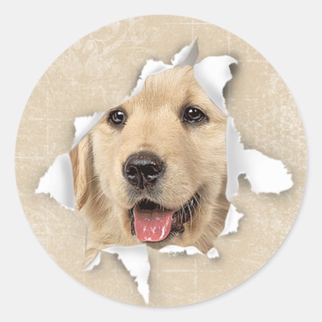 Golden Retriever In Paper Hole Classic Round Sticker (Front)