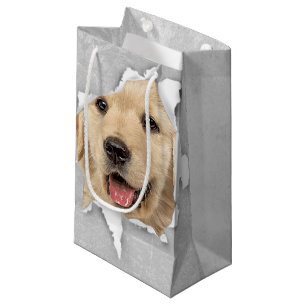 Golden Retriever In Paper Hole Small Gift Bag