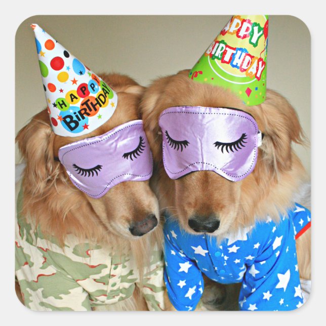 Golden Retriever in Pyjamas Birthday Square Sticker (Front)