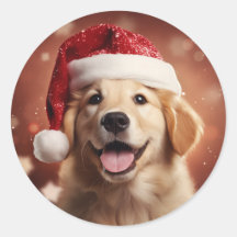Golden Retriever in Santa Hat