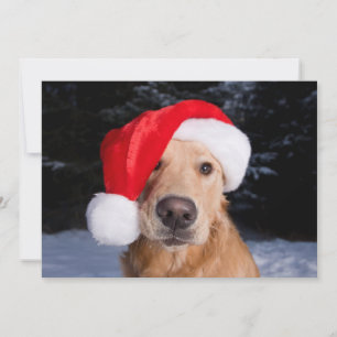Golden Retriever in Santa Hat Holiday Card