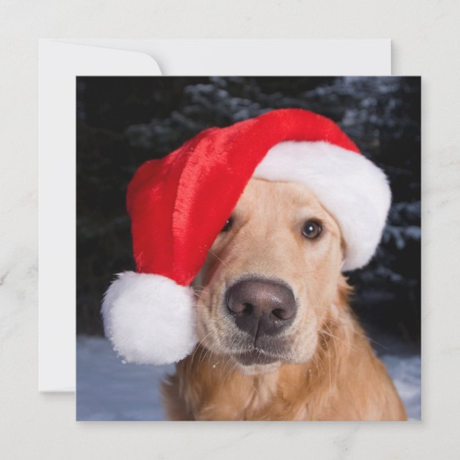 Golden Retriever in Santa Hat Holiday Card (Front)
