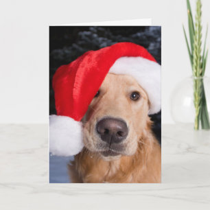 Golden Retriever in Santa Hat Holiday Card