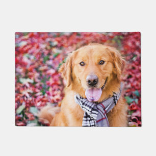 Golden Retriever In Scarf Doormat