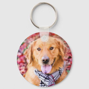 Golden Retriever In Scarf Key Ring