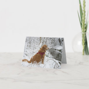Golden Retriever in Snow by Creek Holiday Card