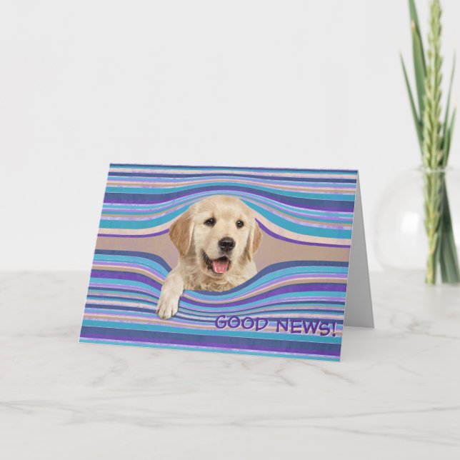 Golden Retriever In Stripes Birthday Humour Card (Front)