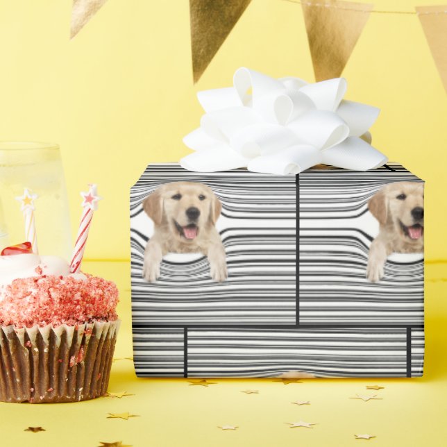 golden retriever in warped lines wrapping paper (Birthday Party)