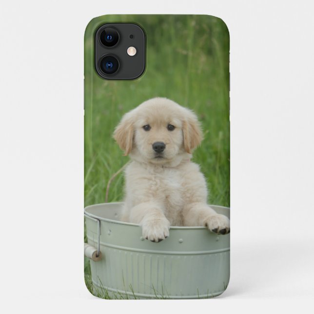 Golden Retriever In Wash Basin Case-Mate iPhone Case (Back)