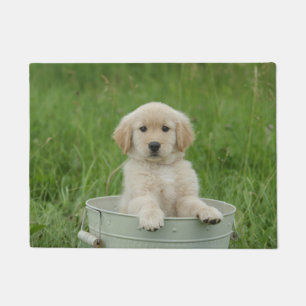 Golden Retriever In Wash Basin Doormat