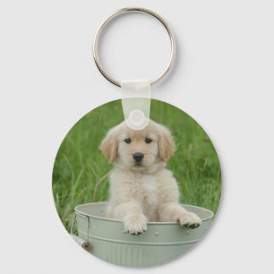 Golden Retriever In Wash Basin Key Ring