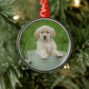 Golden Retriever In Wash Basin Metal Tree Decoration