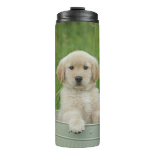 Golden Retriever In Wash Basin Thermal Tumbler