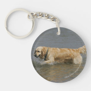 Golden Retriever in Water Key Ring