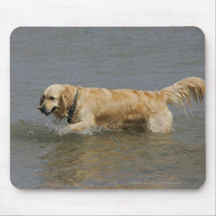 Golden Retriever in Water Mouse Mat