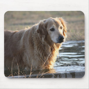 Golden Retriever in Water Mouse Mat