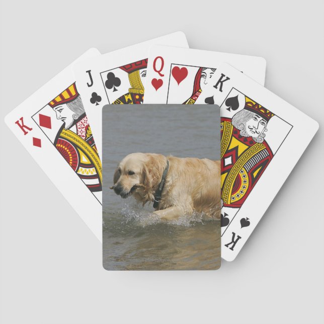 Golden Retriever in Water Playing Cards (Back)