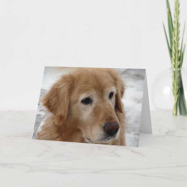 Golden Retriever in Winter Holiday Card (Front)