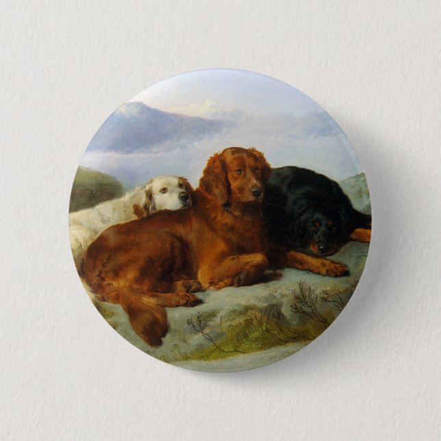 Golden Retriever, Irish and Gordon Setter Button (Front)