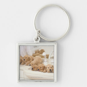 Golden Retriever; is a relatively modern and 2 Key Ring