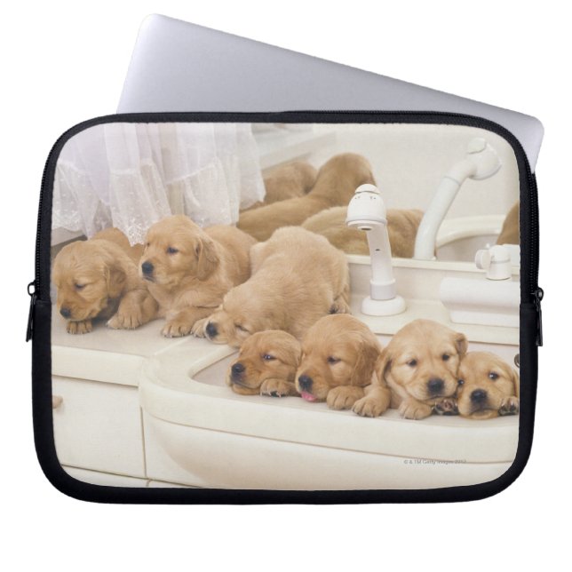 Golden Retriever; is a relatively modern and 2 Laptop Sleeve (Front)