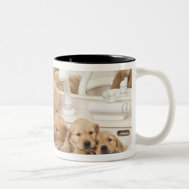 Golden Retriever; is a relatively modern and 2 Two-Tone Coffee Mug (Right)
