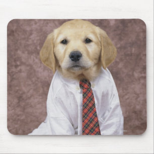 Golden Retriever; is a relatively modern and Mouse Mat