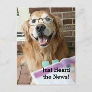 Golden Retriever Just Heard the News Congrats Postcard