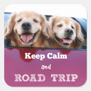 Golden Retriever Keep Calm and Road Trip Square Sticker
