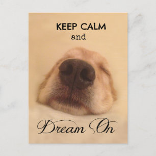 Golden Retriever Keep Calm Dream On Postcard
