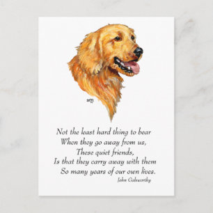 Golden Retriever Keepsake Postcard
