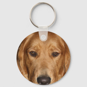 Golden retriever key ring