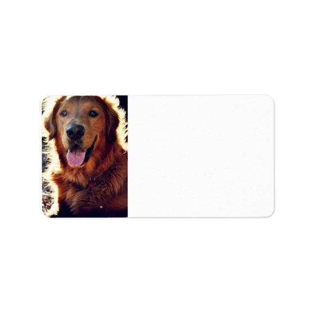 Golden Retriever Label (Front)