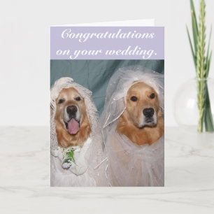 Golden Retriever Lesbian Brides Wedding Card