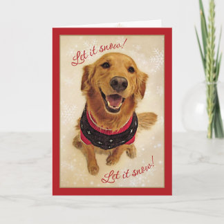 Golden Retriever Let Snow! Christmas Card