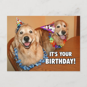 Golden Retriever Let's Party Birthday Invitation Postcard
