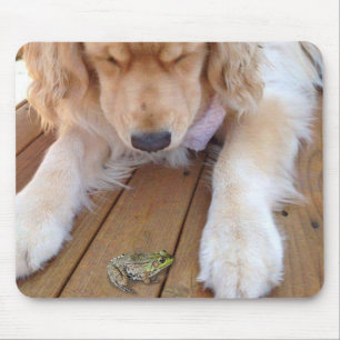 Golden Retriever Looking at a Frog Mouse Mat