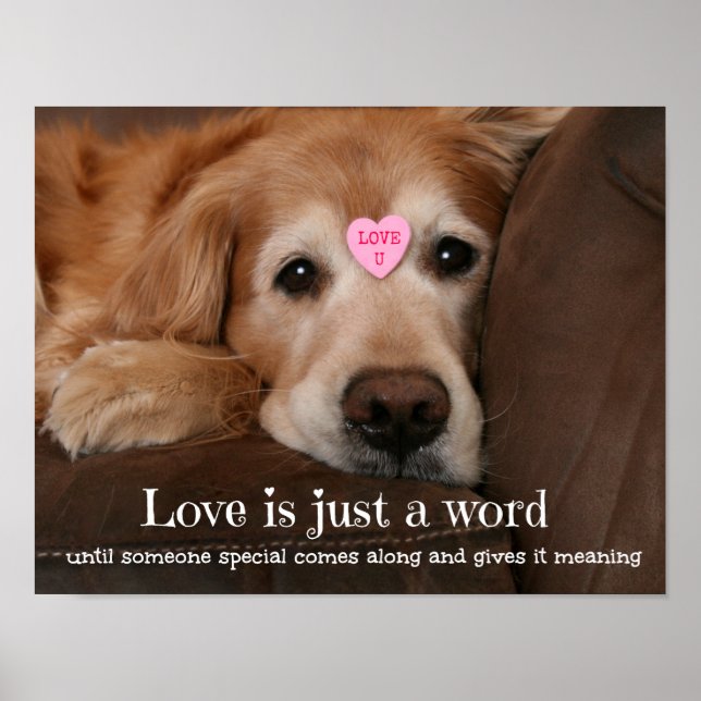 Golden Retriever Love Is Just a Word Poster (Front)