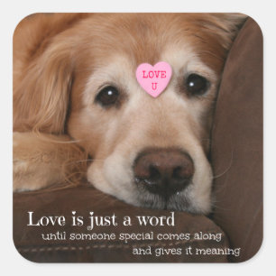 Golden Retriever Love Is Just a Word Square Sticker