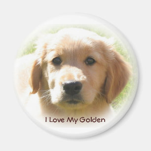 Golden Retriever Love Magnet