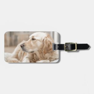 Golden Retriever Luggage Tag