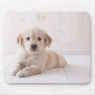 Golden Retriever Lying Down Mouse Mat