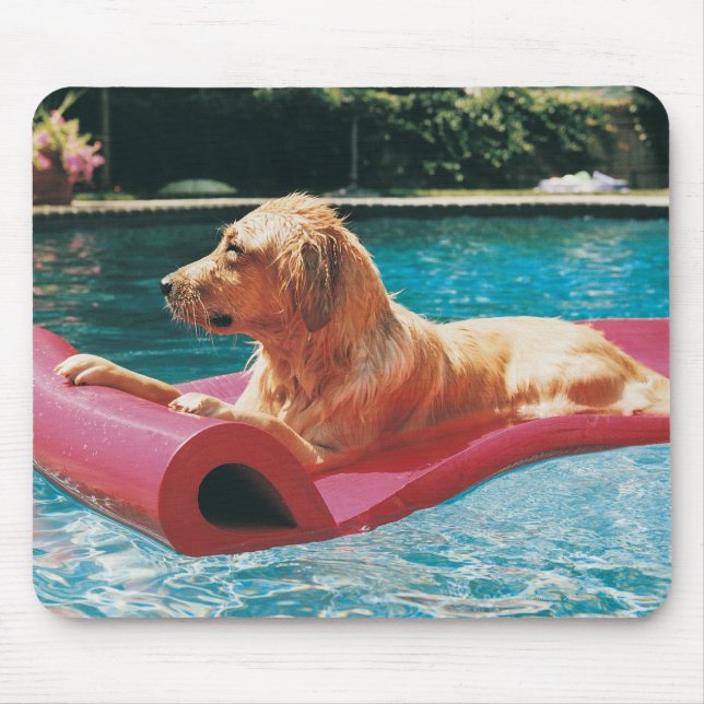 Golden Retriever Lying on an Air Bed in a Mouse Mat (Front)