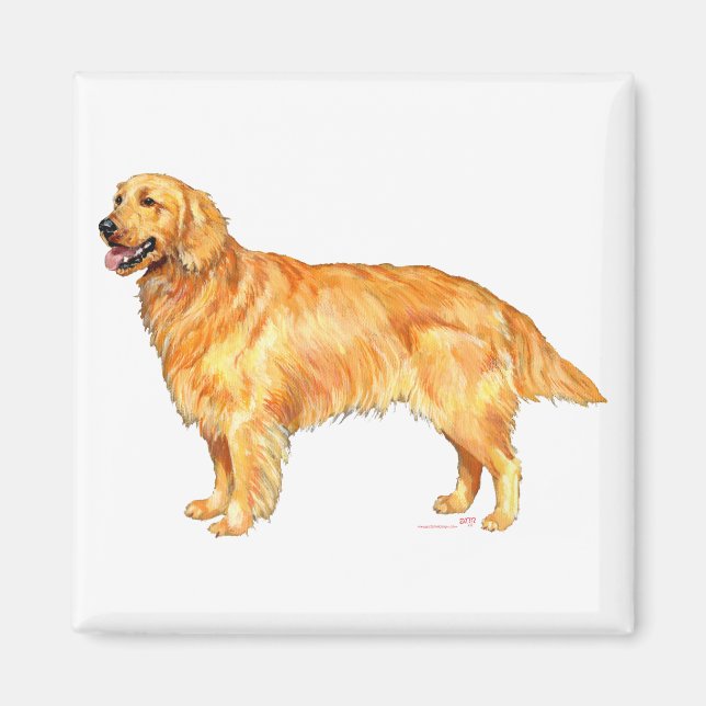 Golden Retriever Magnet (Front)